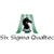 Six Sigma Qualtec Logotype