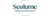 SEOLume Logotype