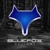 Blue Fox Designs Logotype