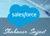 Shahnoor Sajjad Logotype