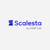 Scalesta Logotype