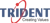 Trident Information Systems Pvt. Ltd. Logotype