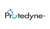 Protedyne Corporation Logotype