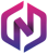 Next Vision Logotype