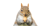 Chunky Squirrel Logotype