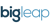 Big Leap Logotype
