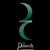 Delsen & Company LLP Logotype