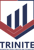 Trinite Consulting Group LLC Logotype
