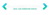 Blackbird SEO Logotype