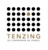 Tenzing Conseil Logotype