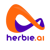 Herbie Ai Logotype