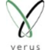 Verus Technology Solutions, Inc. Logotype