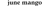 June Mango Design, LLC Logotype