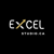 ExcelStudio.ca Logotype