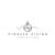Pioneer Vision Consulting Logotype
