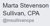 Marta Stevenson Sullivan, CPA Logotype