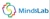 Beijing Mindslab Marketing Consulting Co., Ltd. Logotype