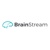 Brain Stream Logotype