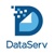 Datasoft Global LLC Logotype