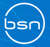 BSN Latam Logotype