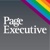 Page Executive Logotype