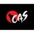 CAS Digital Logotype