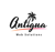 Antigua Web Solutions Logotype