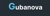 Gubanova and Partners Logotype
