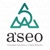 ASEO.MD Logotype