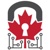 CANADIAN CYBERSECURITY INC. Logotype