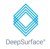 DeepSurface Security Logotype