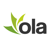Ola Design Works Logotype