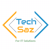 TechSaz Logotype