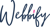 Webbify Infotech Pvt Ltd Logotype