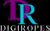 Digi ropes Logotype