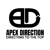 APEX Direction Logotype