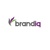 Brand IQ Inc. Logotype