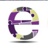 E. Holdings, Inc. Logotype