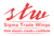 Sigma Trade Wings Logotype