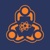 S.T.A.R.S  (Pvt.) Ltd. Logotype