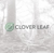 Clover Leaf Solutions, LLC Logotype
