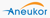 ANEUKOR LLC Logotype