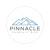 Pinnacle Pursuit SEO Logotype