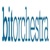 Bitorchestra Logotype