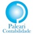 Paleari Contabilidade Logotype