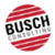 Busch Consulting, Inc. Logotype