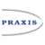 Praxis Consulting Group, Inc. Logotype