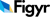 Figyr LLC Logotype