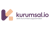 Akilli Kurumsal Uygulamalar Logotype