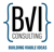 BVI Consulting Logotype